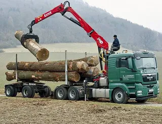 Grúa forestal