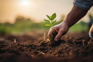 agricultura regenerativa
