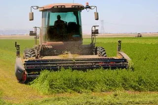 Guía completa para elegir la mejor segadora de alfalfa: consejos, tipos y recomendaciones