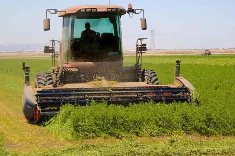 Guía completa para elegir la mejor segadora de alfalfa: consejos, tipos y recomendaciones