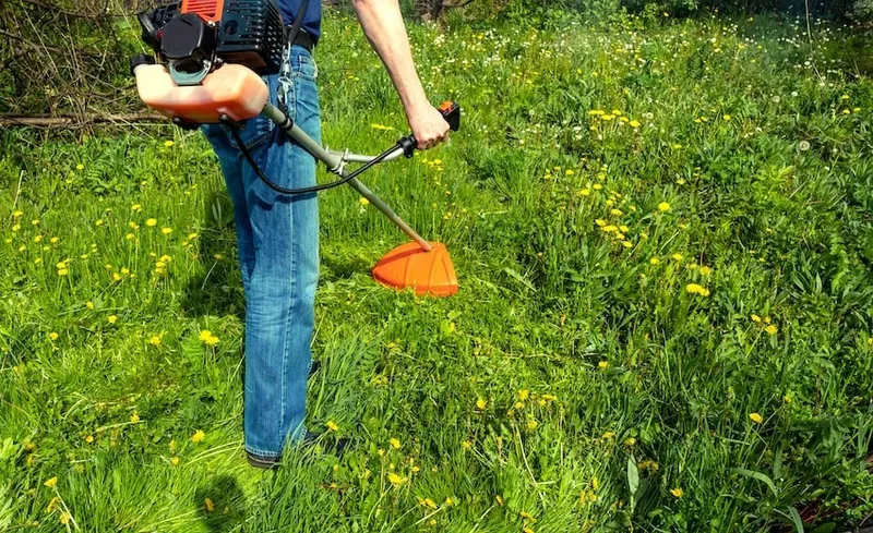 ¿Qué es una desbrozadora y cómo elegir la mejor para tu jardín?