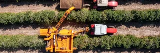 ¡Las cosechadoras de maíz que revolucionarán tu producción agrícola!