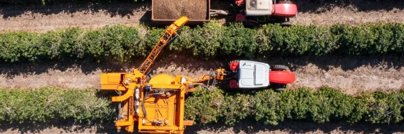 ¡Las cosechadoras de maíz que revolucionarán tu producción agrícola!