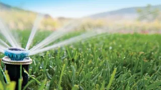 Todo sobre la agricultura de riego: técnica, beneficios y consejos prácticos