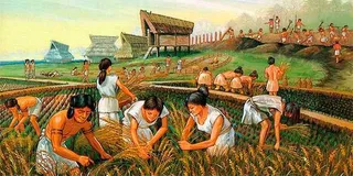 Agricultura romana