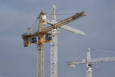 Alquiler De Gruas En Venezuela