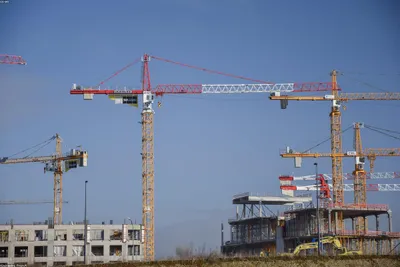 ¿Conviene Comprar o Alquilar Maquinaria en 2026?