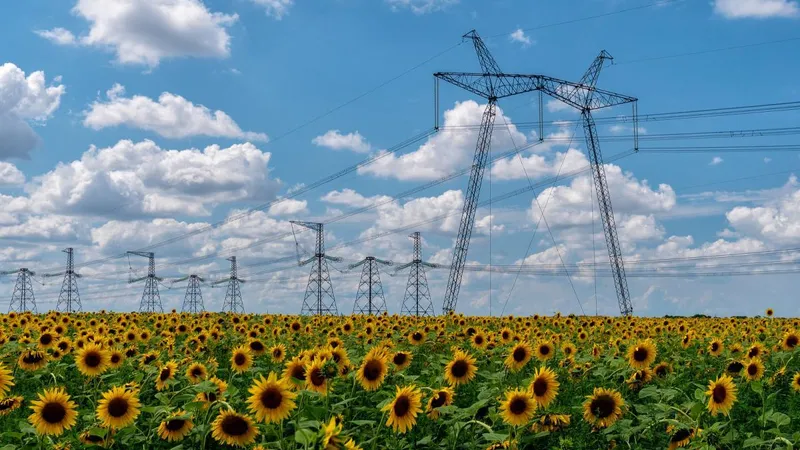 Repuestos Para Plantas Electricas En Venezuela