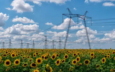 Repuestos Para Plantas Electricas En Venezuela
